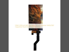 OEM 5.98 Inch MiPi Interface TFT LCD Module 1440x2560 Capacitive Touch Panel High Resolution